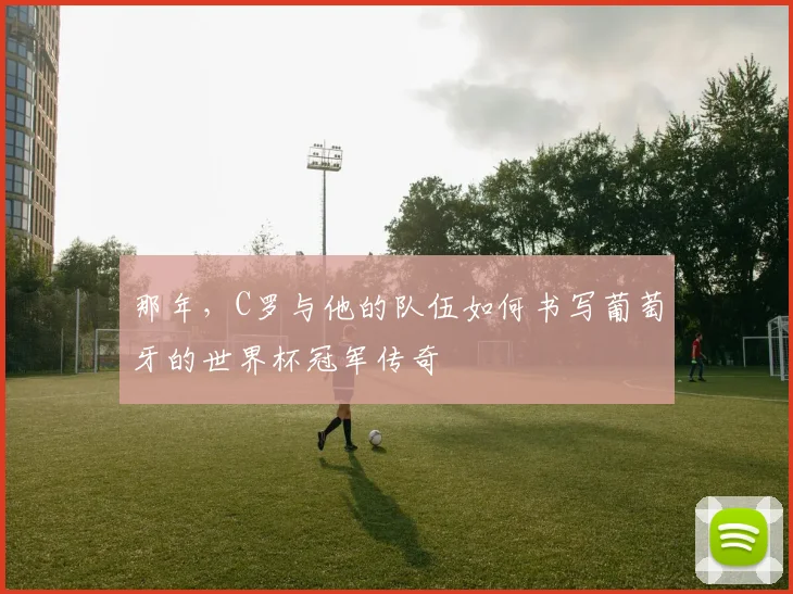 那年，C罗与他的队伍如何书写葡萄牙的世界杯冠军传奇