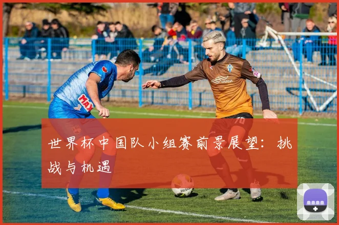 世界杯中国队小组赛前景展望:挑战与机遇
