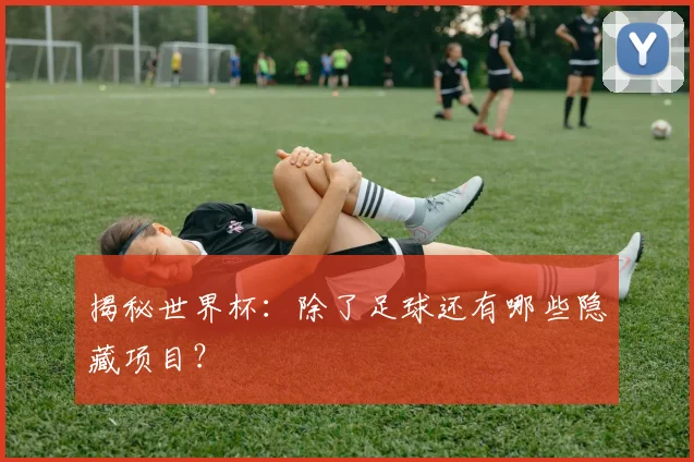 揭秘世界杯:除了足球还有哪些隐藏项目?