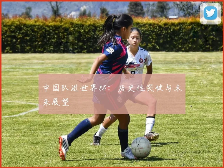 中国队进世界杯:历史性突破与未来展望