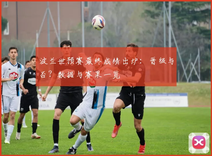 波兰世预赛最终成绩出炉：晋级与否？数据与赛果一览