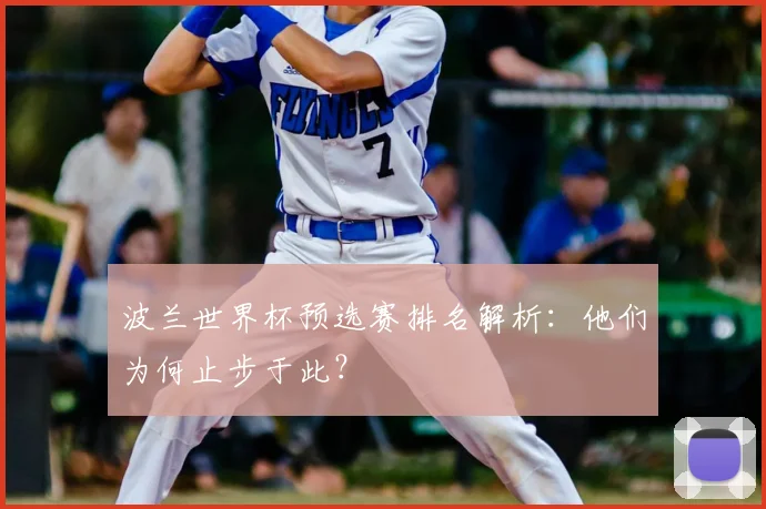 波兰世界杯预选赛排名解析：他们为何止步于此？